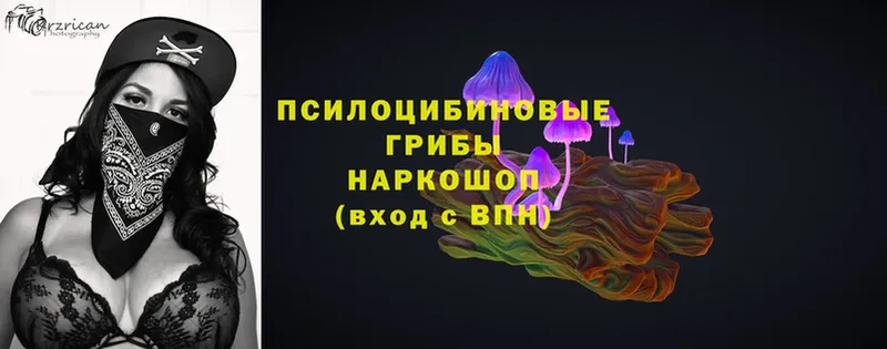 Псилоцибиновые грибы MAGIC MUSHROOMS  Киров 